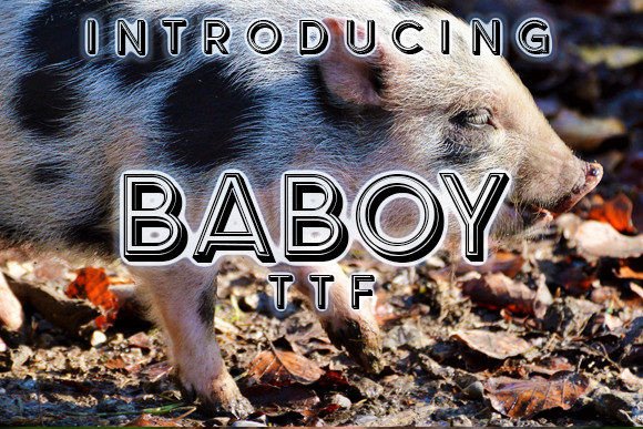 Baboy: A Stylish Display Font for Small Business Branding