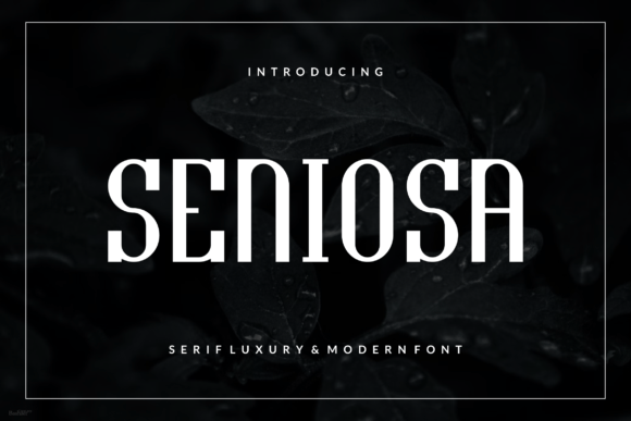 Seniosa Font: Bold, Authentic Display Type for Scroll-Stopping Campaigns
